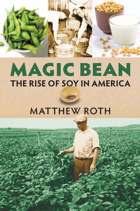 Cover image for book Magic Bean