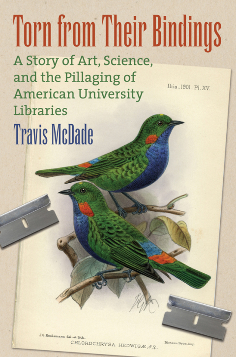 Cover image for book Torn from their Bindings