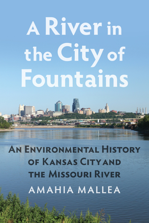 Cover image for book A River in the City of Fountains