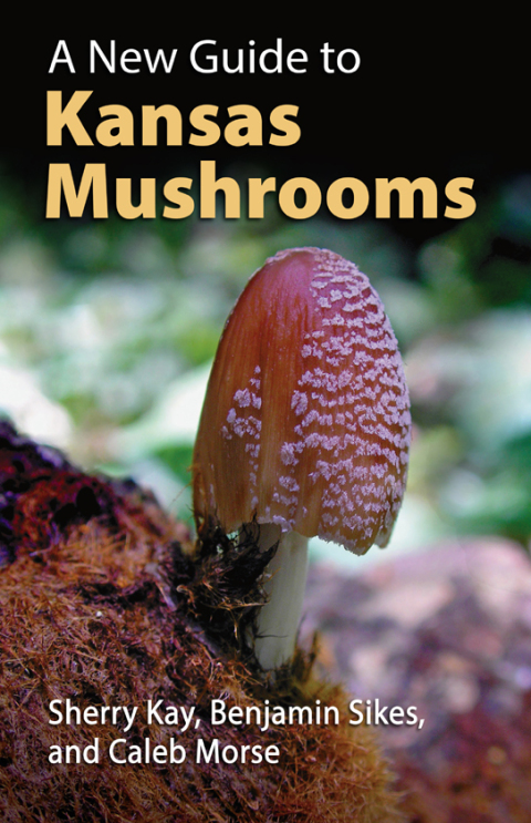 Cover image for book A New Guide to Kansas Mushrooms
