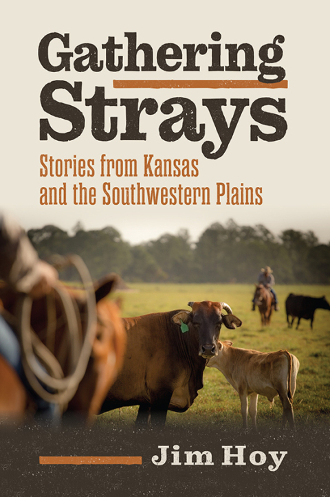 Cover image for book Gathering Strays