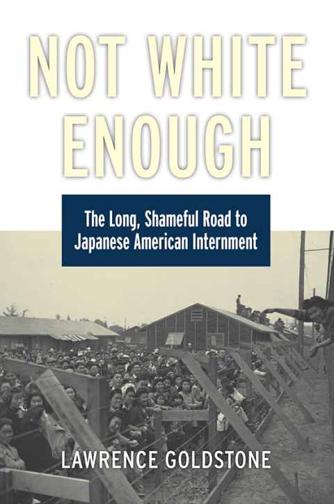 Cover image for book Not White Enough