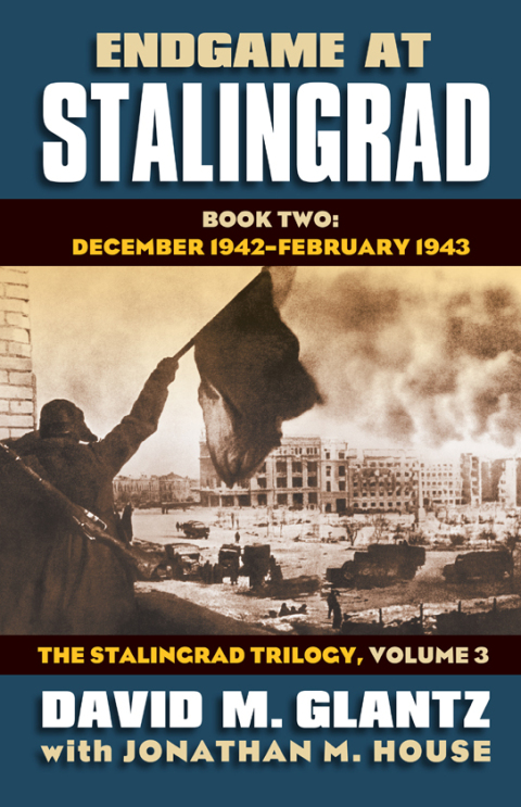 Cover image for book Endgame at Stalingrad