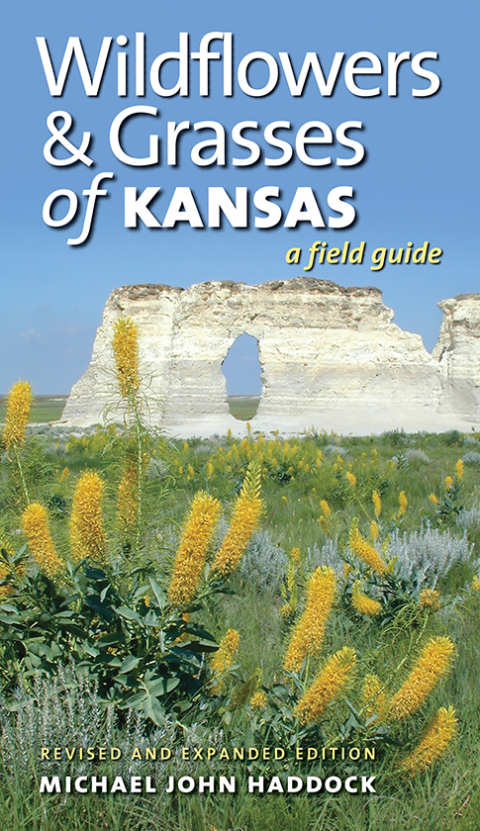 Cover image for book Wildflowers and Grasses of Kansas