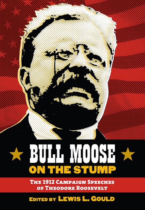 Cover image for book Bull Moose on the Stump