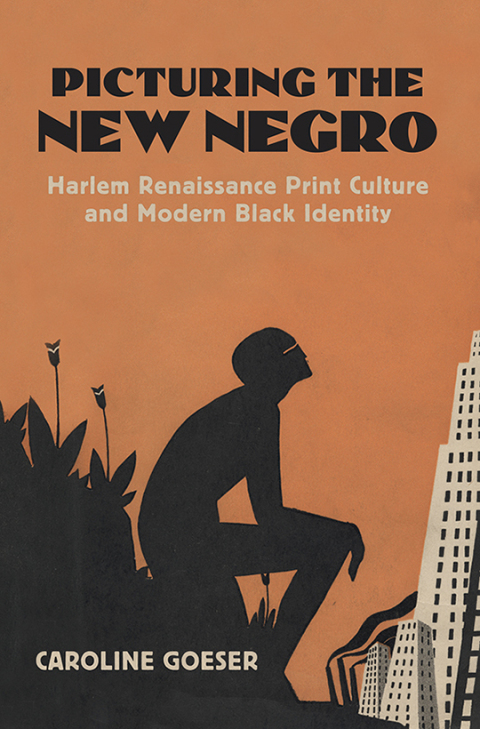 Cover image for book Picturing the New Negro