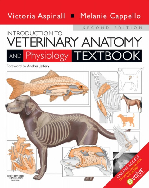 Cover image for book Introduction to Veterinary Anatomy and Physiology Textbook