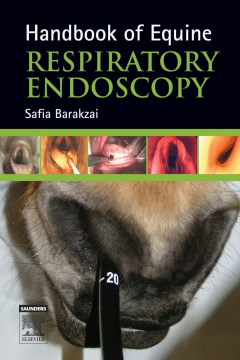 Cover image for book Handbook of Equine Respiratory Endoscopy