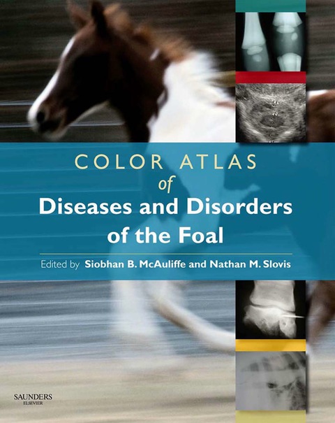 Cover image for book Color Atlas of Diseases and Disorders of the Foal E-Book