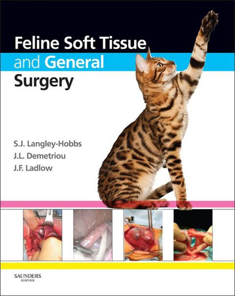 Cover image for book Feline Soft Tissue and General Surgery