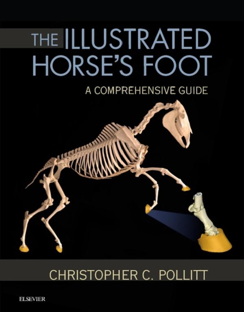 Cover image for book Illustrated Horse's Foot: A Comprehensive Guide