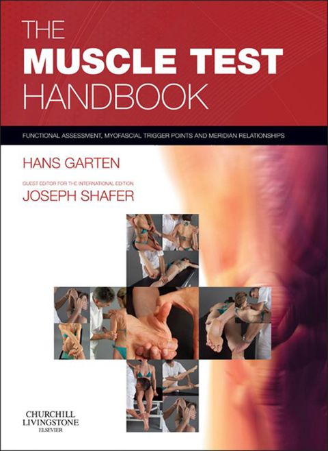 Cover image for book The Muscle Test Handbook