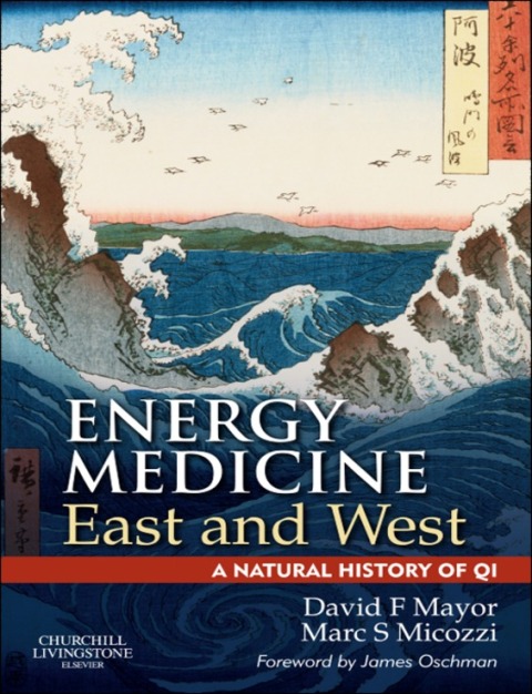 Cover image for book Energy Medicine East and West