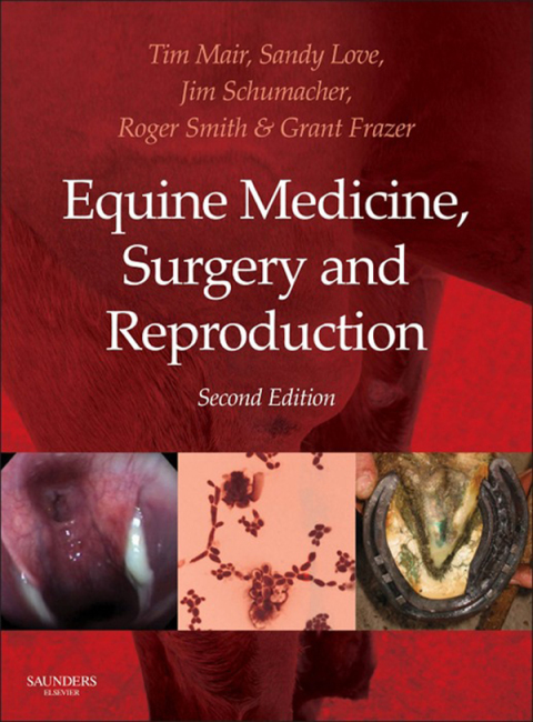 Equine Medicine, Surgery and Reproduction 