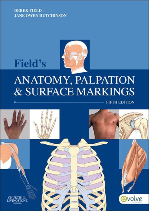 Cover image for book Field's Anatomy, Palpation and Surface Markings