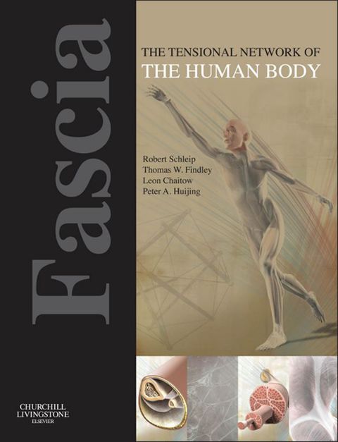 Cover image for book Fascia: The Tensional Network of the Human Body