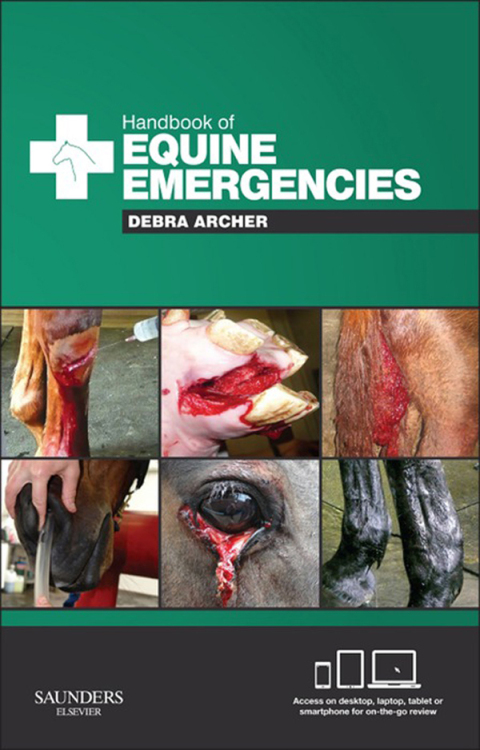 Cover image for book Handbook of Equine Emergencies