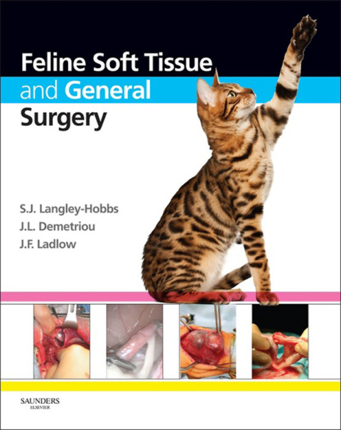 Cover image for book Feline Soft Tissue and General Surgery
