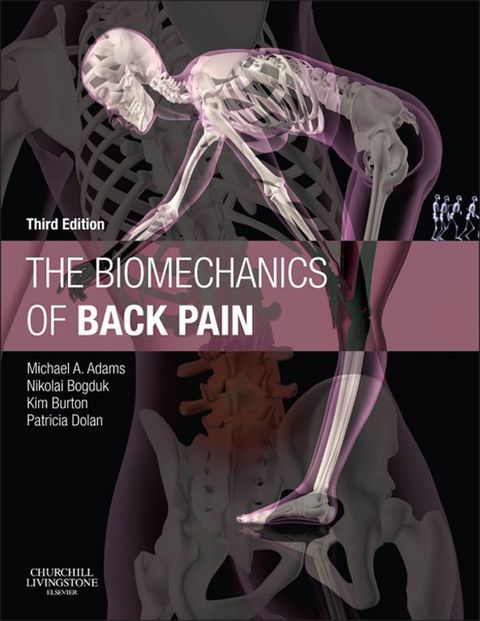Cover image for book The Biomechanics of Back Pain