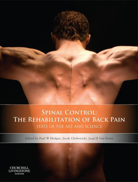 Cover image for book Spinal Control: The Rehabilitation of Back Pain