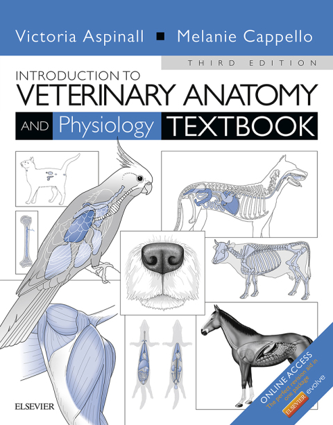 Cover image for book Introduction to Veterinary Anatomy and Physiology Textbook
