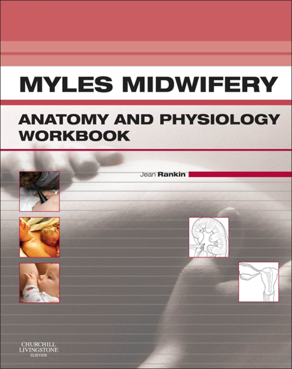 Myles Midwifery A&P Colouring Workbook (eBook) - Jean Rankin,