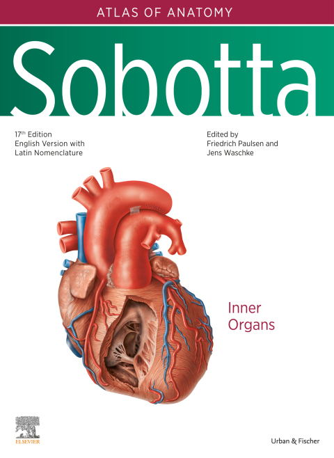 Sobotta Atlas of Anatomy, Vol. 2, 17th ed., English/Latin 