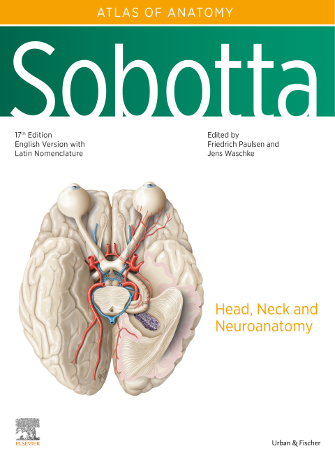 Sobotta Atlas of Anatomy, Vol. 3, 17th ed., English/Latin 