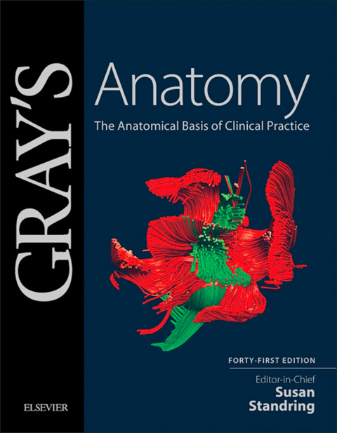 Cover image for book Gray's Anatomy