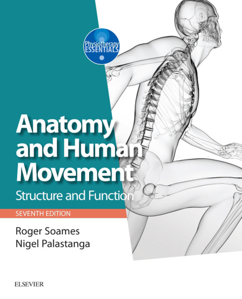 Cover image for book Anatomy and Human Movement