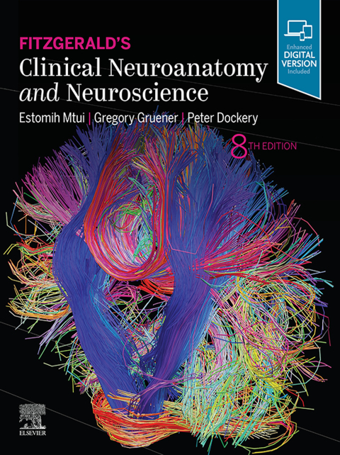 Cover image for book Fitzgerald's Clinical Neuroanatomy and Neuroscience