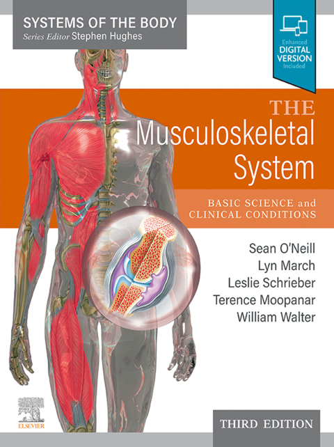 Cover image for book The Musculoskeletal System