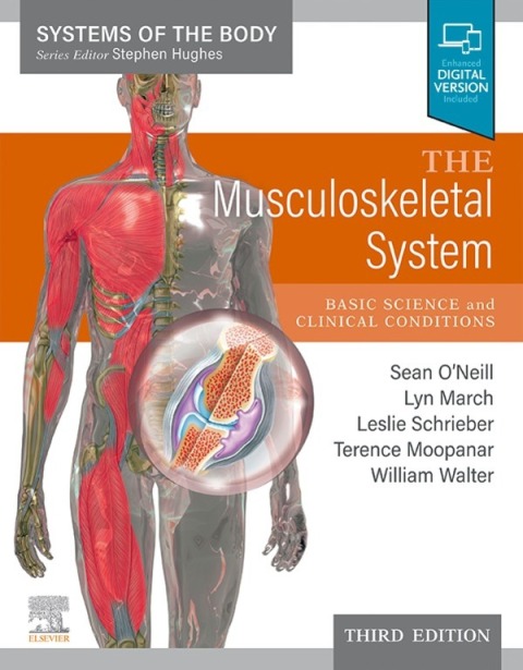 The Musculoskeletal System 
