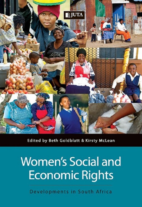 Cover image for book Women's Social and Economic Rights: Developments in South Africa