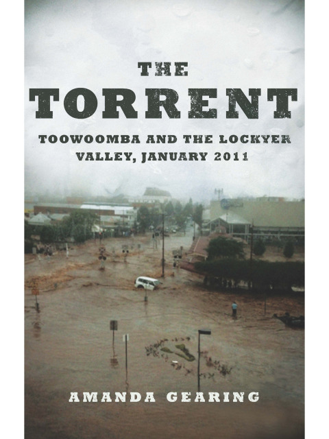 Cover image for book The Torrent