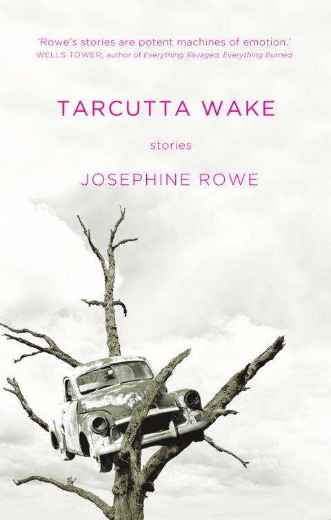 Cover image for book Tarcutta Wake