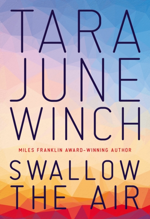 Cover image for book Swallow the Air