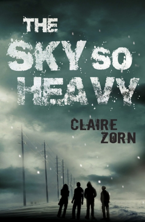 Cover image for book The Sky So Heavy