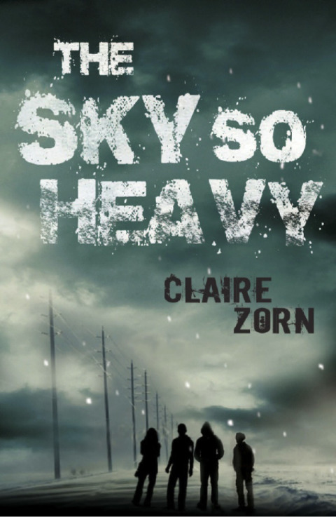 Cover image for book The Sky So Heavy