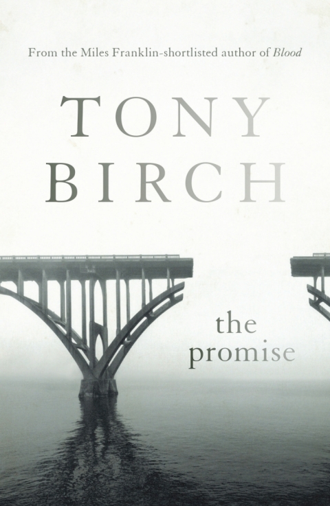 Cover image for book The Promise