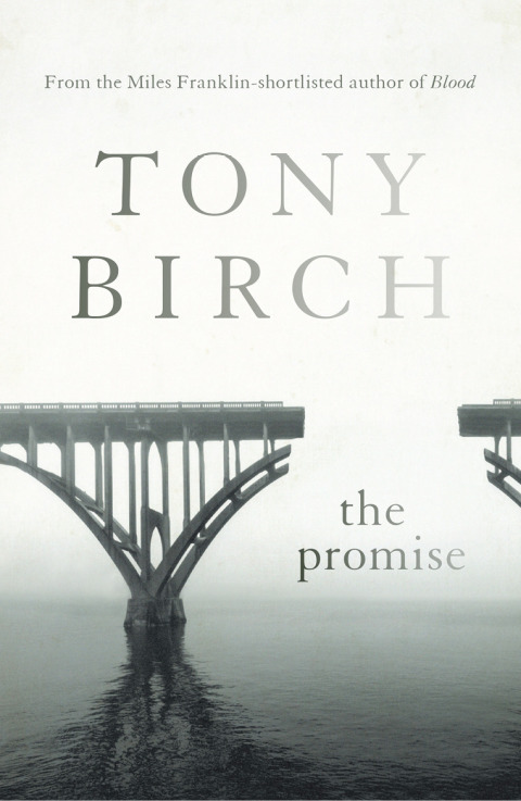 Cover image for book The Promise