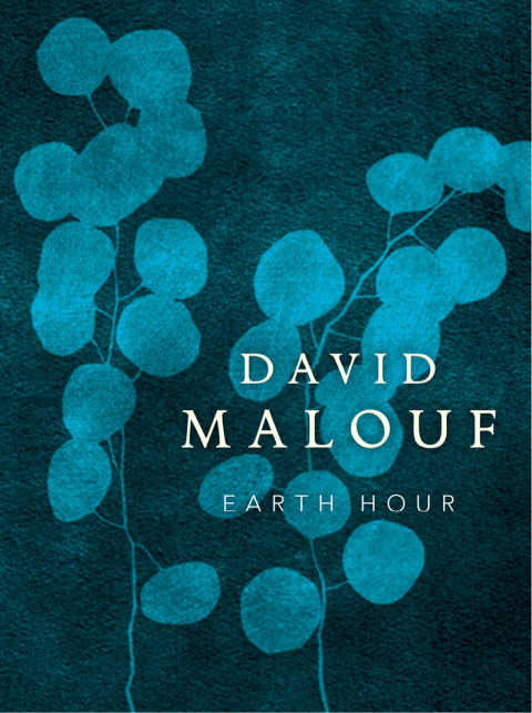 Cover image for book Earth Hour