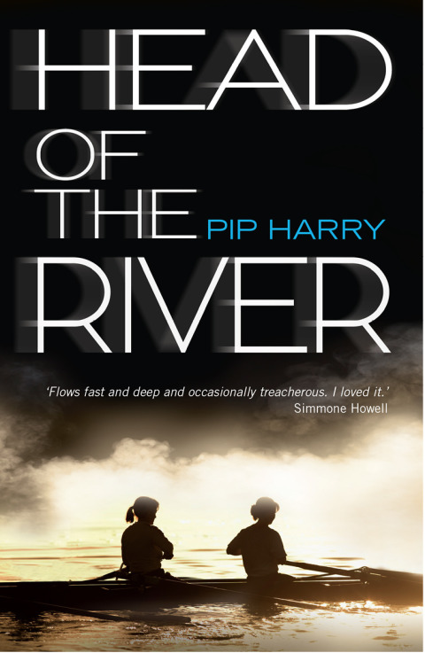 Cover image for book Head of the River