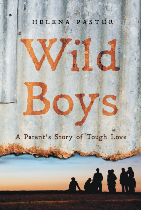Cover image for book Wild Boys