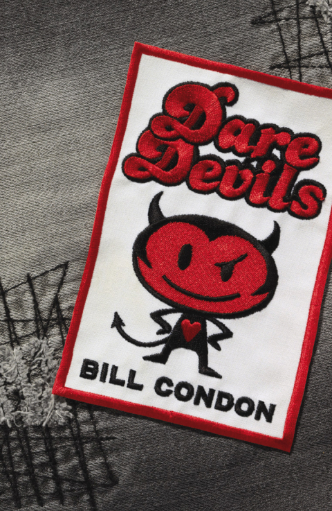 Cover image for book Daredevils