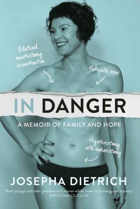 Cover image for book In Danger