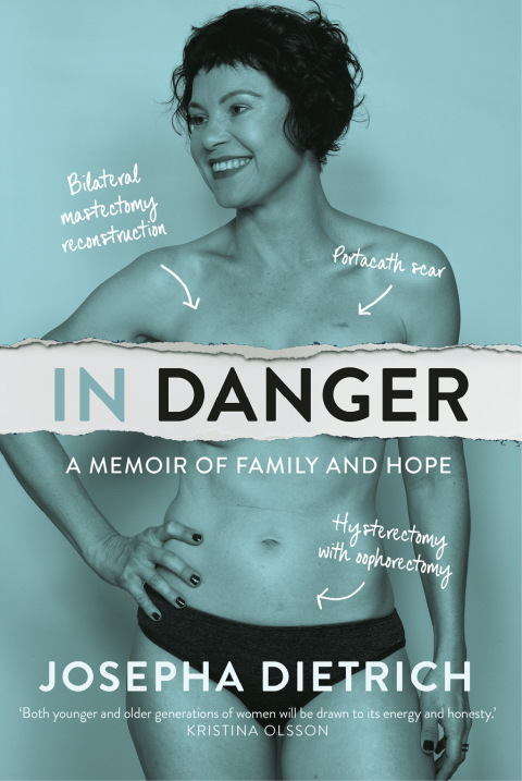 Cover image for book In Danger