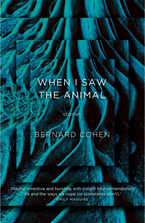 Cover image for book When I Saw the Animal