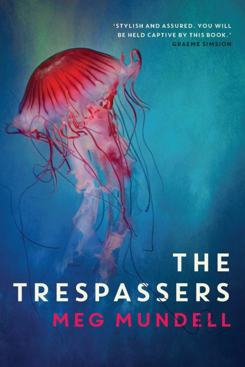 Cover image for book The Trespassers