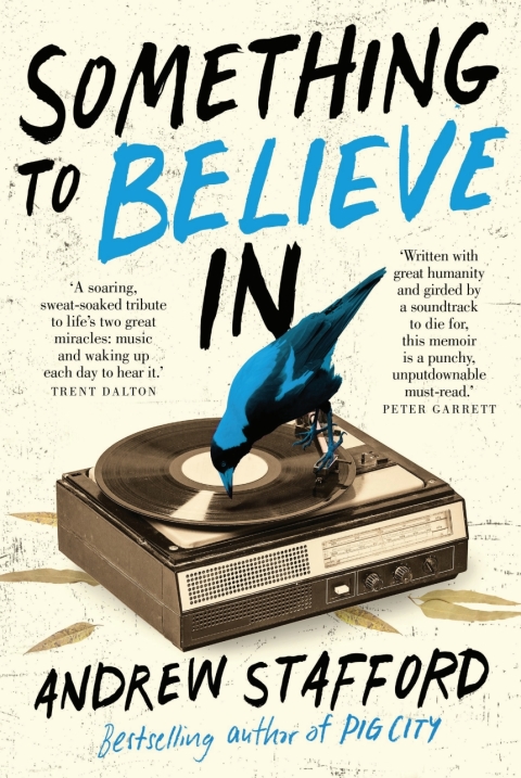 Cover image for book Something to Believe In